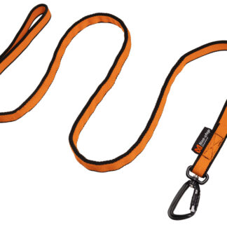 Bungee leash