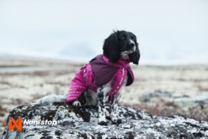 Glacier Purple
