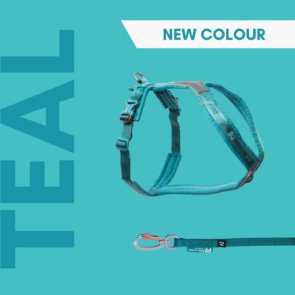 Non-Stop Dogwear Touring Bungee "TEAL"