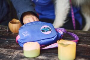 Non-Stop Dogwear Trail quest fanny pack Rachel Pohl edition - Purple/Pink