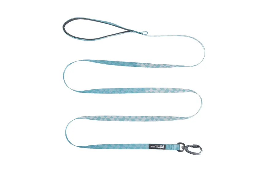 Trail Quest leash - Ice Blue